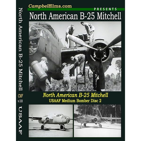 Amazon.com: Air Force Consolidated B-24 Liberator WW2 Big